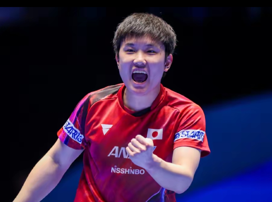 参加类似活 参加类似活