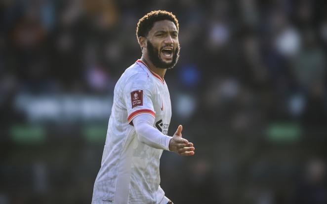 纽的开团链 纽的开团链